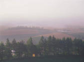 tkf003_551052
