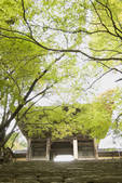 tkf003_552383