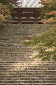 tkf003_552432
