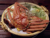 tkf003_552859