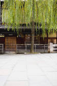 tkf003_553087