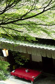 tkf003_553889