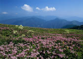 tkf003_554964