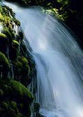 tkf003_555135