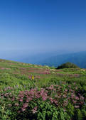 tkf003_555205
