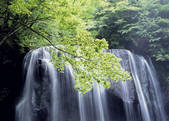 tkf003_555218