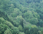 tkf003_555261