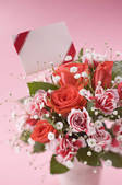tkf003_555588