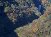 tkf003_556747