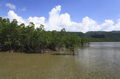 tkf003_557134
