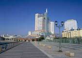 tkf003_557175
