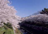 tkf003_557278