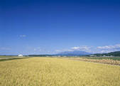 tkf003_557540