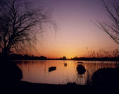 tkf003_557723