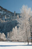 tkf003_560927
