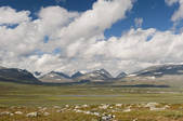 tkf003_562450