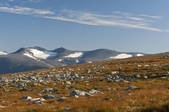 tkf003_562453