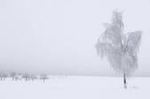 tkf003_564531
