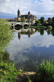 tkf003_564607