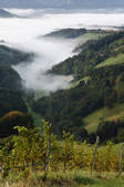 tkf003_565270