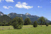 tkf003_565274