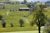 tkf003_565473