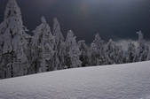 tkf003_565987