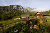 tkf003_570504