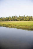 tkf003_604710