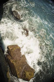 tkf003_628398
