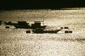 tkf003_638116