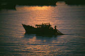 tkf003_638132