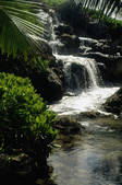 tkf003_639666