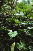 tkf003_640291