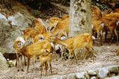 tkf003_643578
