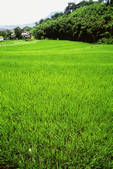 tkf003_643594