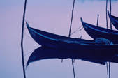 tkf003_648799