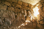 tkf003_654558