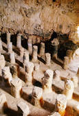 tkf003_654563