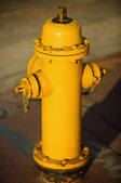 tkf003_657428