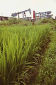 tkf003_658528