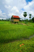 tkf003_658787