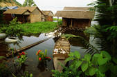 tkf003_658788