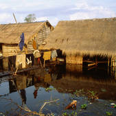 tkf003_658789