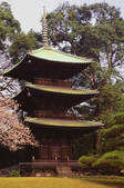 tkf003_659158