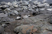 tkf003_660056
