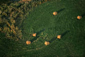 tkf003_660969