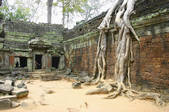 tkf003_665796