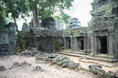 tkf003_665799