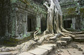 tkf003_665800